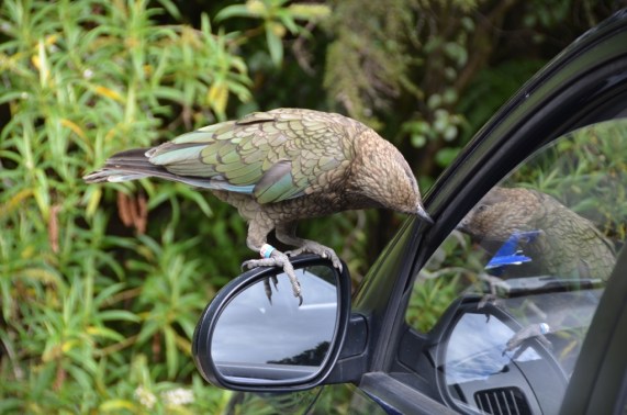 UNADJUSTEDNONRAW_thumb_e9f